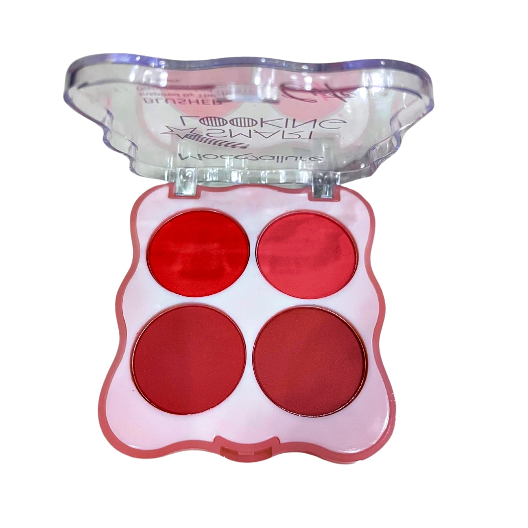 MOCALLURE blusher Make Up kit