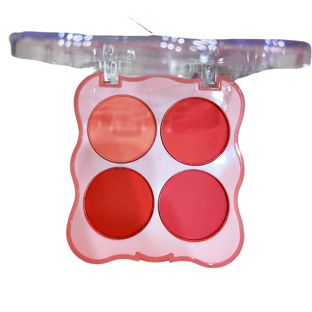 MOCALLURE blusher Make Up kit