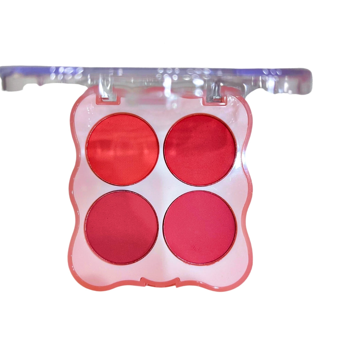 MOCALLURE blusher Make Up kit